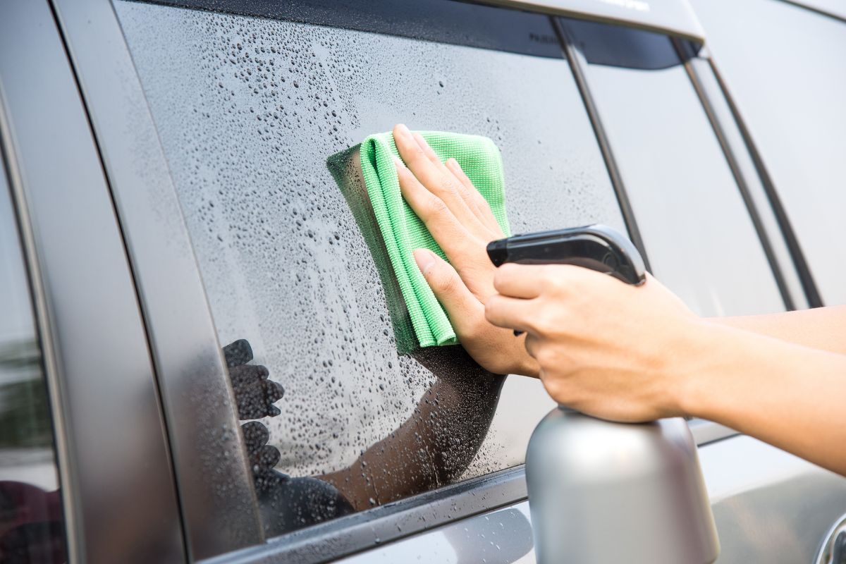 polarizados para autos