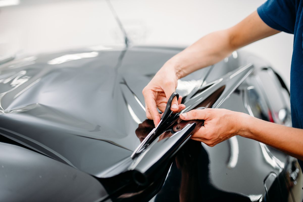 polarizados para carros